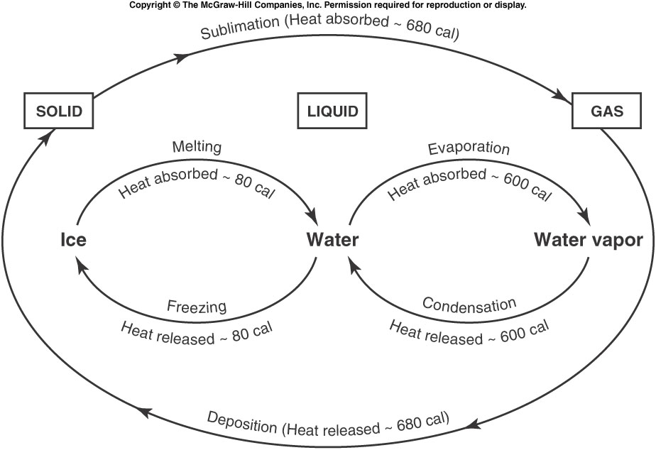 a study of evaporation and condensation a study of evaporation and condensation